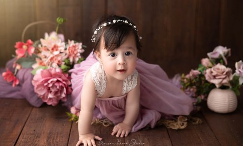 Newborn Photography Blog | Blossom Brook Studio 586 A sweet baby girl in a mauve dress crawling on wooden floor surrounded by pink flowers — Baby Portrait Photography Sydney by Blossom Brook Studio.
