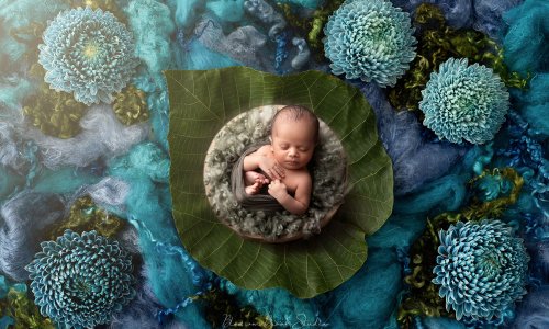 Newborn Photography Blog | Blossom Brook Studio 587 Newborn baby sleeping peacefully on a large green leaf surrounded by teal flowers during a botanical newborn photoshoot in Sydney by Blossom Brook Studio.