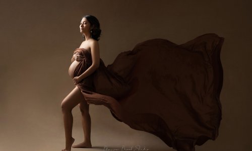 Newborn Photography Blog | Blossom Brook Studio 615 Maternity Portraits of a pregnat lady covered by a piece of brown fabric in the wind, with pleasant expression, holding her belly.