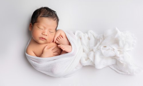 Newborn Photography Blog | Blossom Brook Studio 583 Newborn wrapped in soft white blanket.