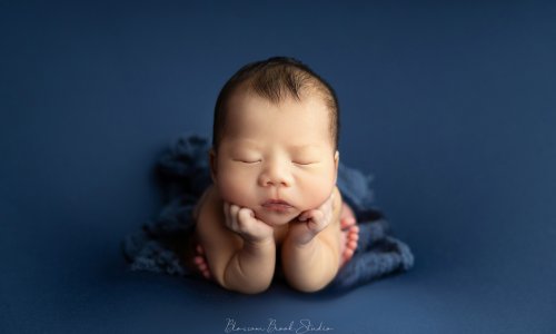 Newborn Photography Blog | Blossom Brook Studio 600 Peaceful newborn baby posed on a soft blanket, beautifully captured through Sydney newborn family photography at Blossom Brook Studio.