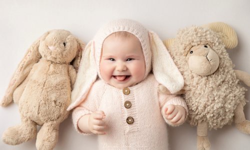 Newborn Photography Blog | Blossom Brook Studio 603