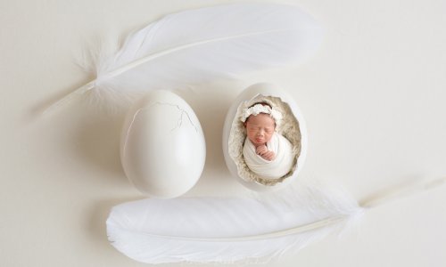 Newborn Photography Blog | Blossom Brook Studio 621
