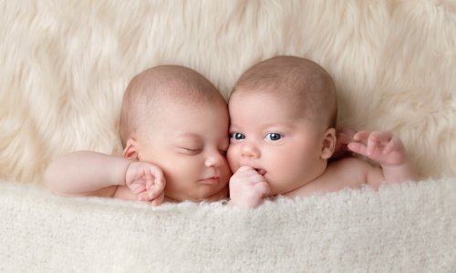 twins baby photo sydney borthers