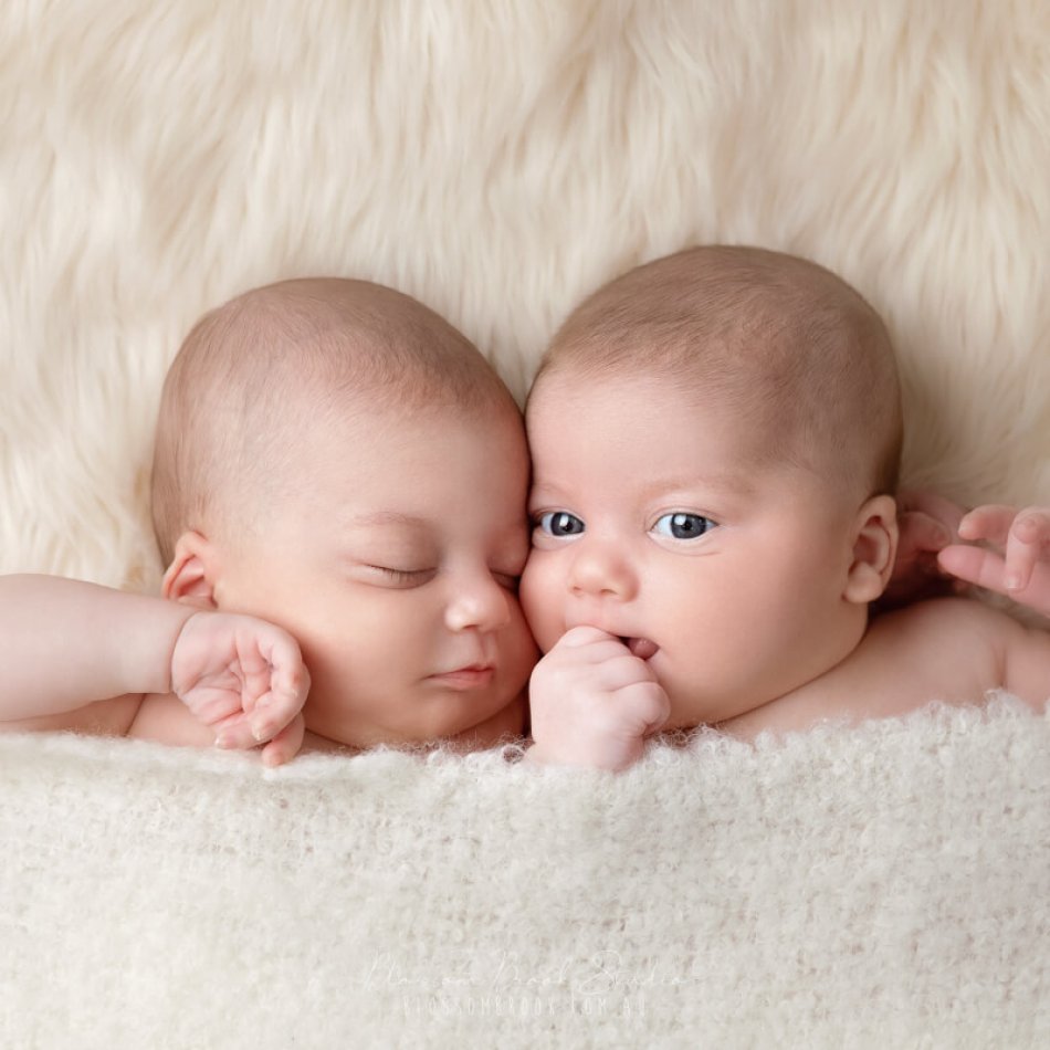 twins baby photo sydney borthers