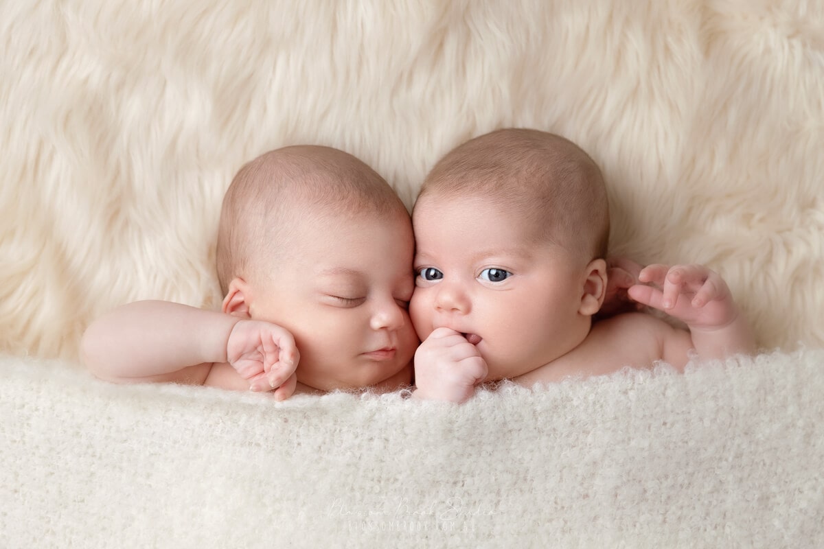 twins baby photo sydney borthers